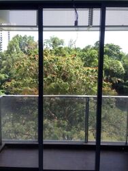 Spottiswoode 18 (D2), Apartment #465395721